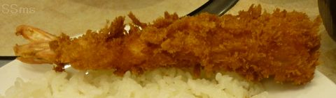 ss130520-02.jpg