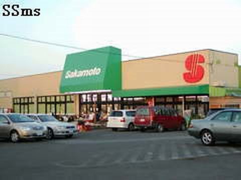 ss200818-05.jpg